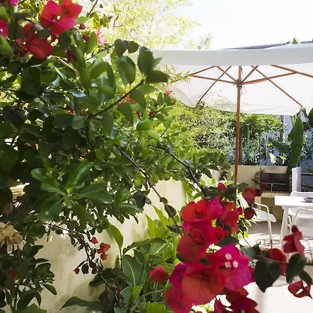 Appartamenti Le Pleiadi - Succhivo D'Ischia Sant'Angelo  Room photo